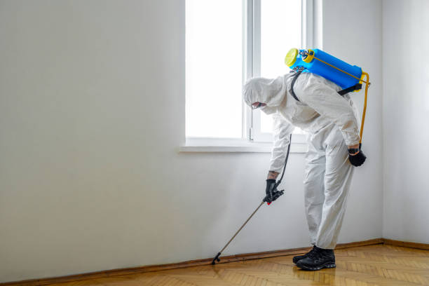 Best Commercial Pest Control Services  in Berkley, CO