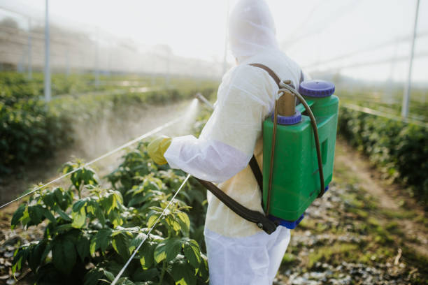 Best Commercial Pest Control Services  in Berkley, CO